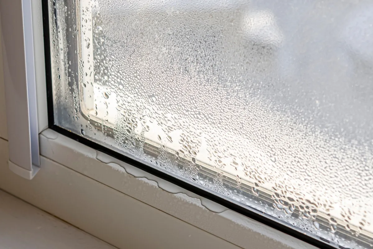 finding moisture problems