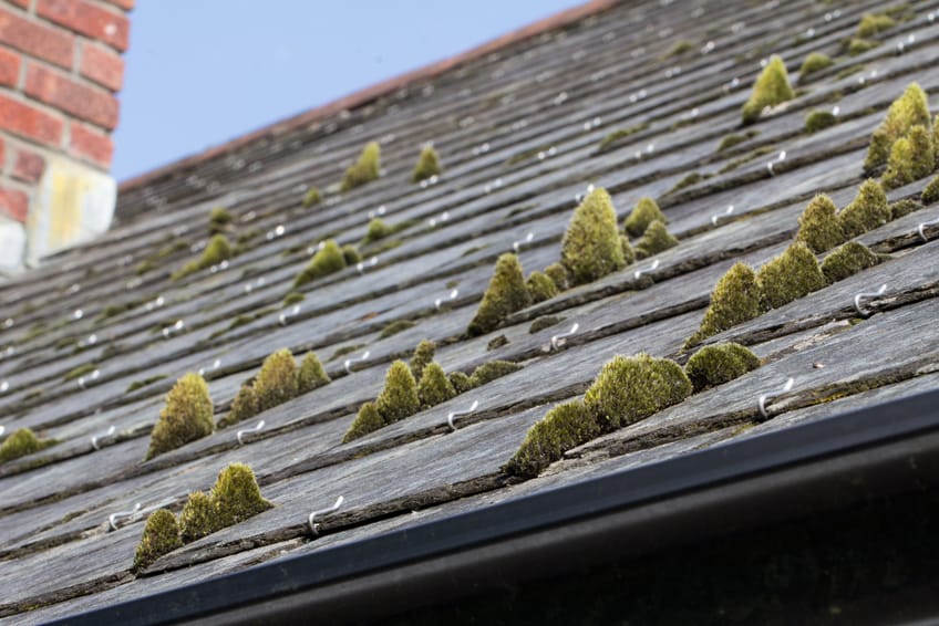 roofing problems
