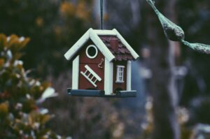 a bird house from a tree