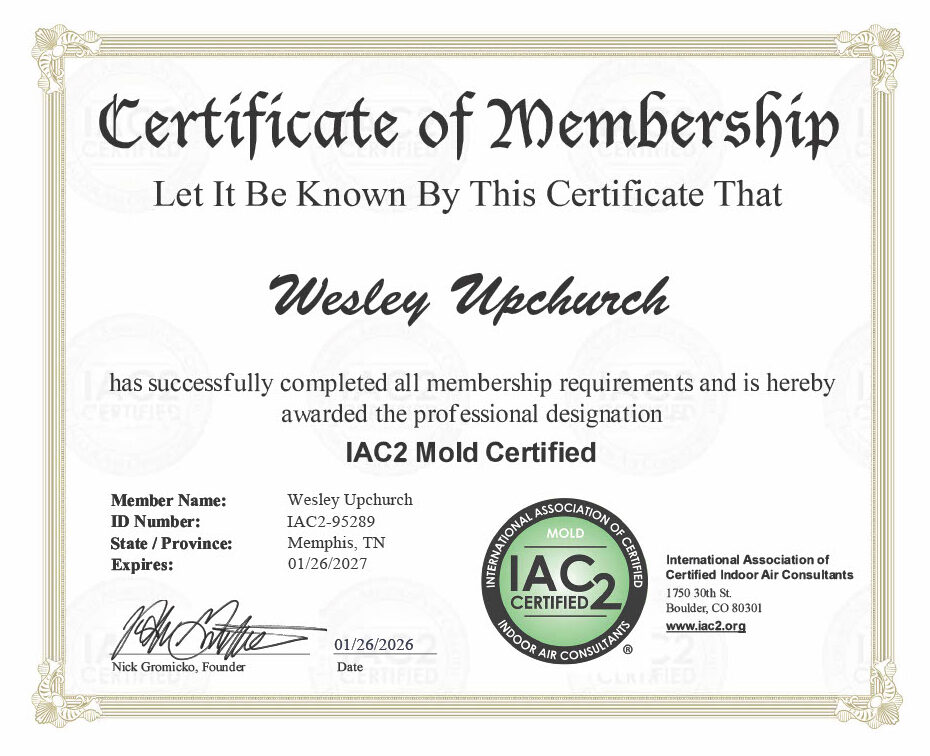 1769490203262 dcb5d4bb 0d61 4bdf a31b 6d0de89068a9 1 e1769490292300