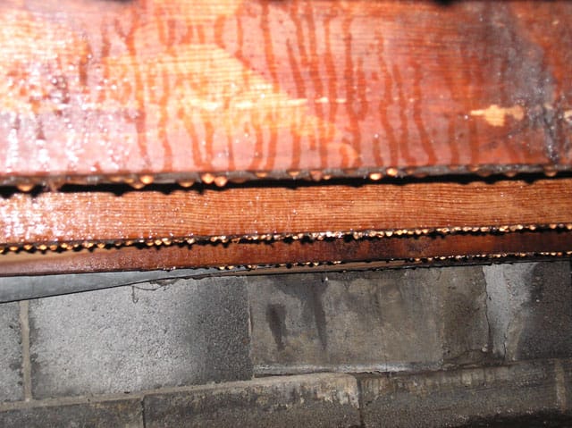 Crawl space moisture