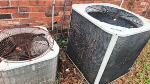 IMG 20241216 115828218