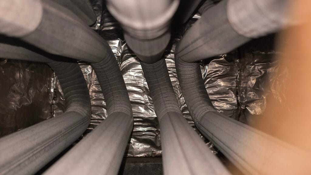 IMG 20241217 124339824