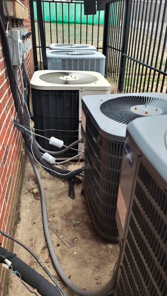 IMG 20250205 152003221 HDR