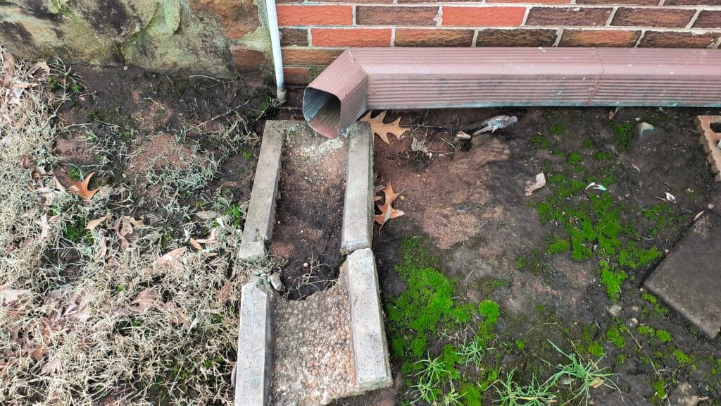 IMG 20250205 153643379