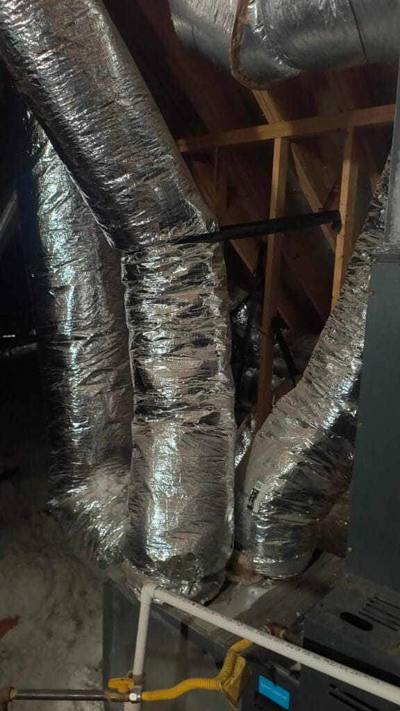 IMG 20250331 094938522 HDR 1