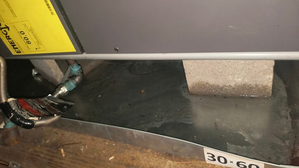 IMG 20250404 103205116