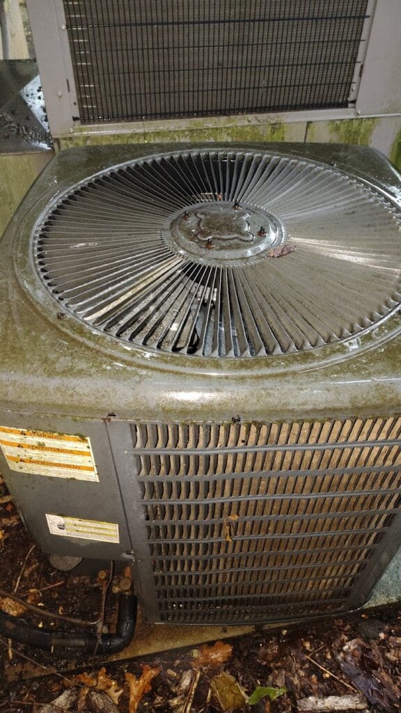 IMG 20250903 163123790 1