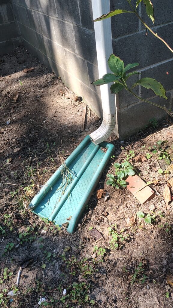 IMG 20251015 132135034 HDR