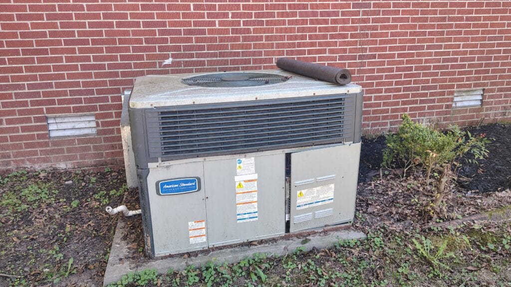 IMG 20251015 132341029 HDR