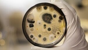 understanding mold test results without panic