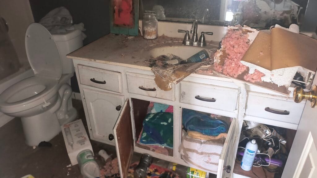 IMG 20241216 093242524