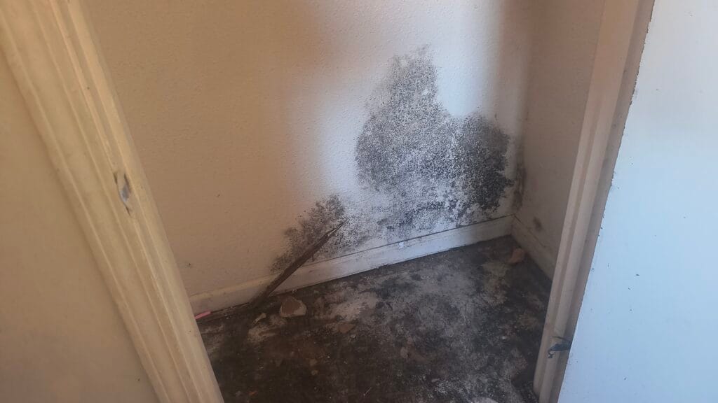 IMG 20250325 111806755