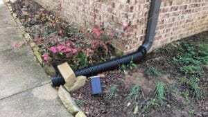 IMG 20250331 111807368 HDR