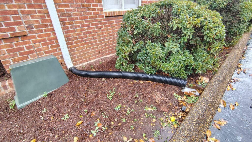 IMG 20251124 130014222 HDR