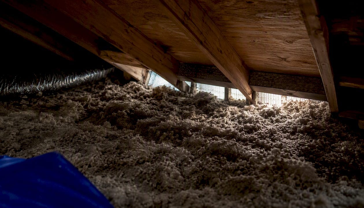 Blocked attic soffit vent clogged by insulation