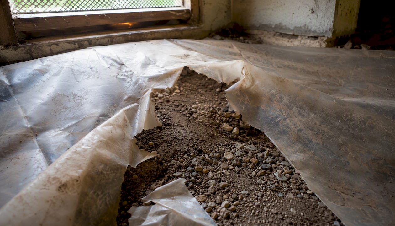 Torn vapor barrier in crawl space under inspection