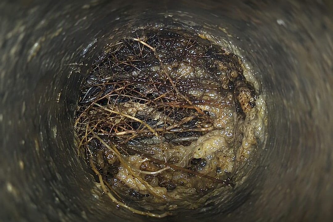 Inside sewer pipe with roots and grease blockage