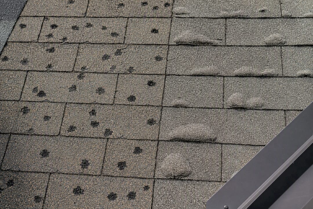 Contrasting hail impacts and shingle blisters