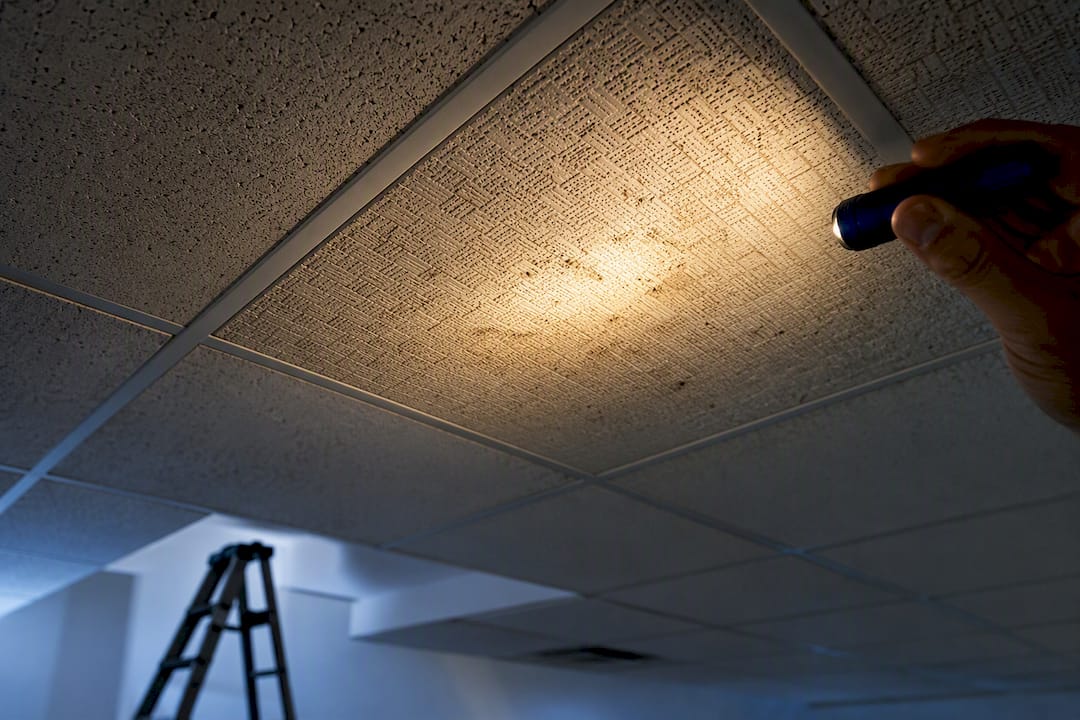 Inspector examining intact commercial ceiling tiles