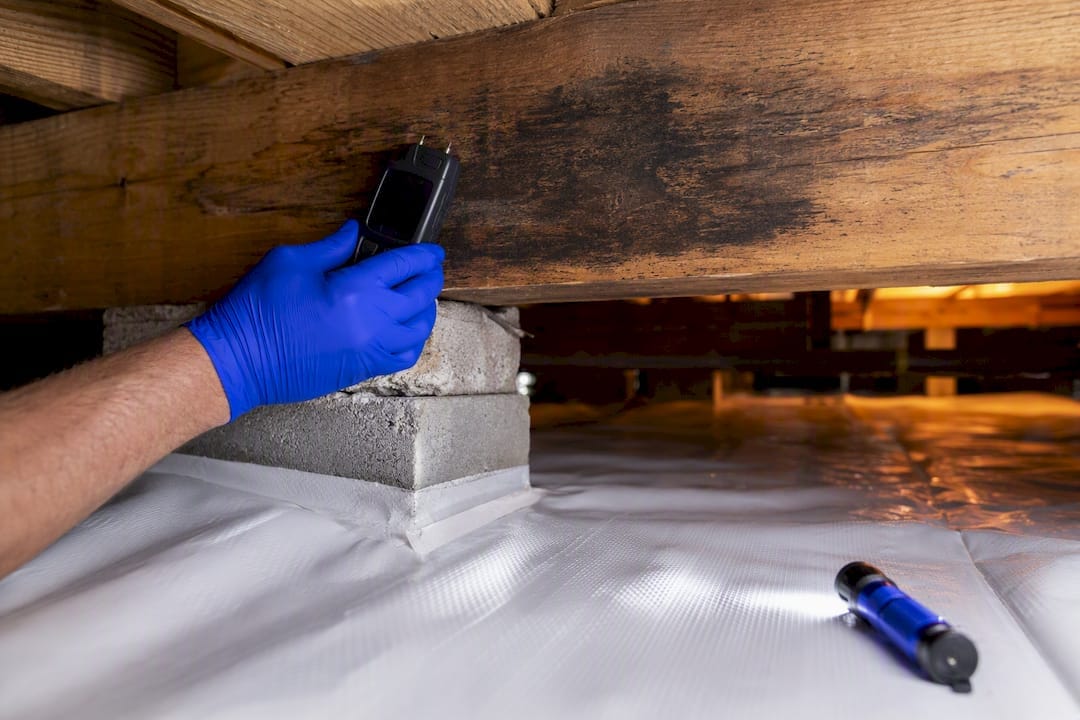 Inspector checking moisture on crawl-space joist