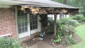 Why Soffit and Fascia Rot Is a Common Problem in Memphis Homes