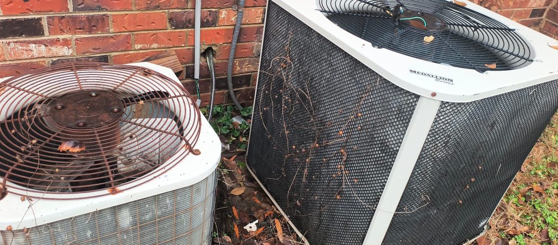 IMG_20241216_115828218