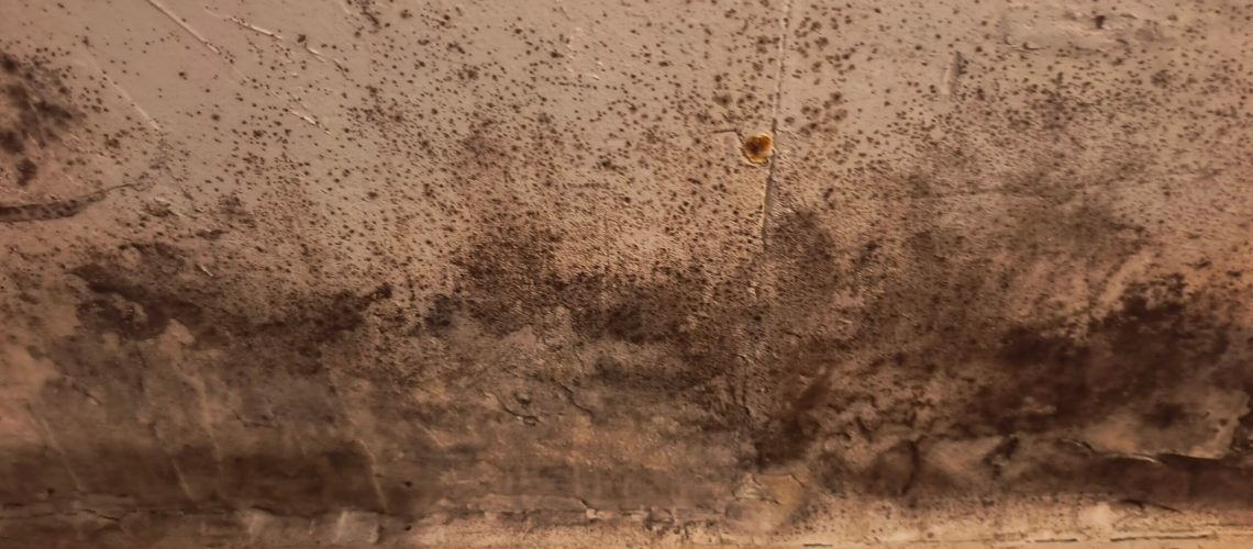 Mold Found on Inspection, Recommended Mold Test