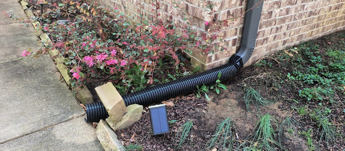 IMG_20250331_111807368_HDR