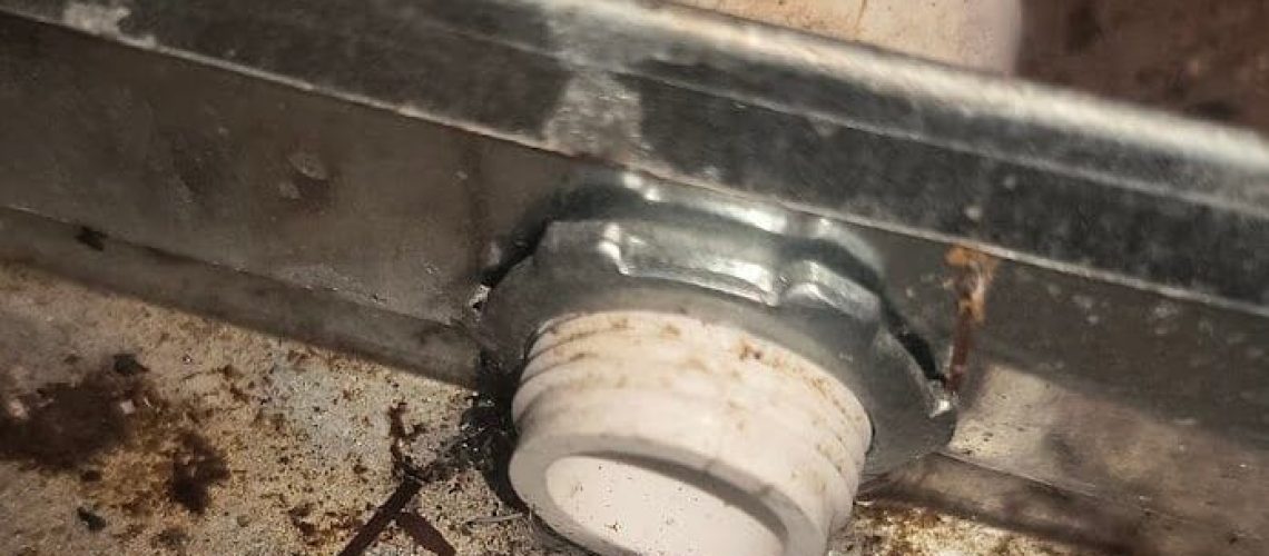 IMG_20250404_104107265