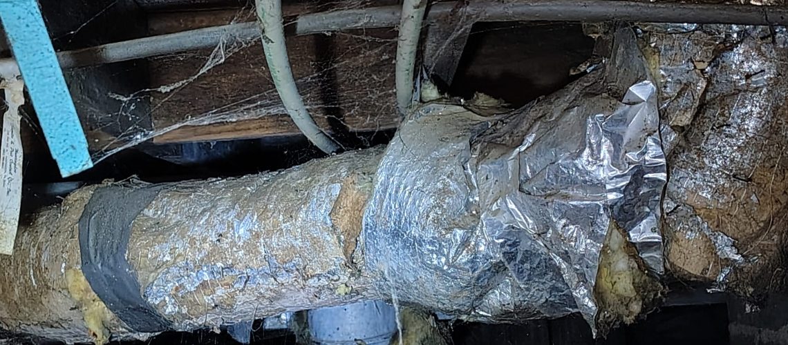 IMG_20250908_172444664_HDR