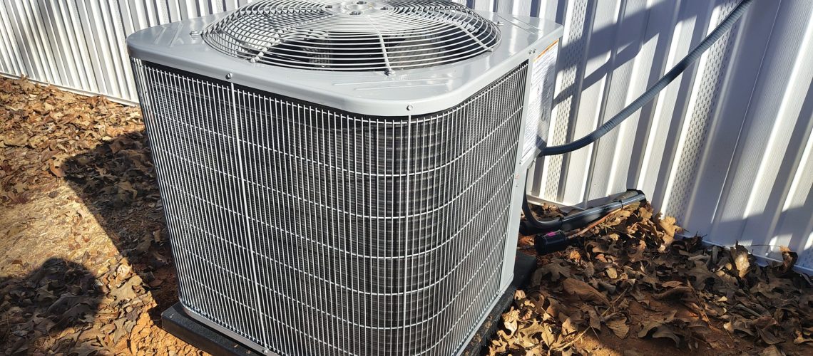 IMG_20251214_114356729_HDR