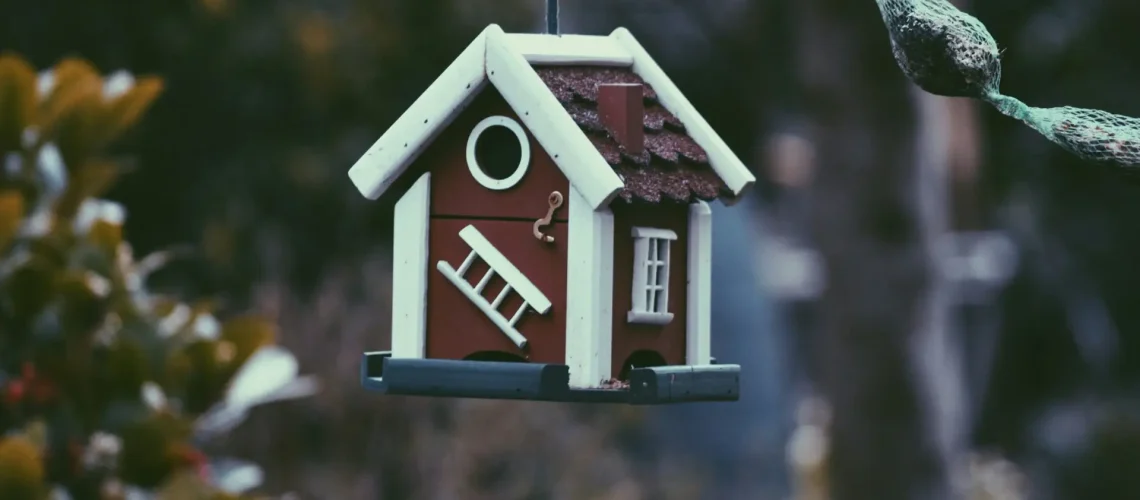 a bird house from a tree