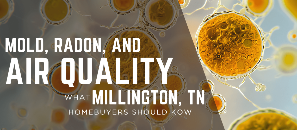 moldandradoninmillington