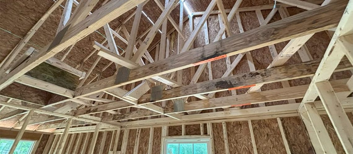 new-construction-mold