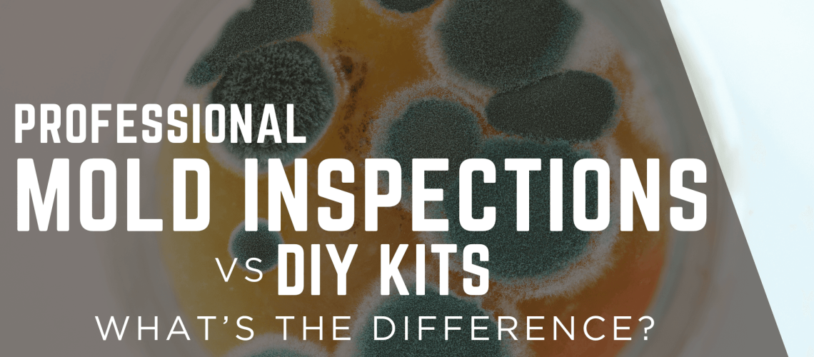professionalmoldinspectionsvsdiykits professionalmoldinspectionsvsdiykits
