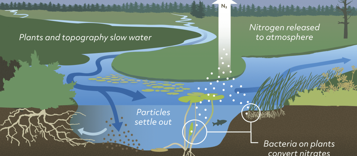 understanding-bacteria-nitrates-and-metals-in-water