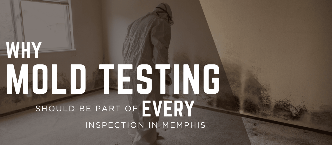 whymoldtestinginmemphis whymoldtestinginmemphis